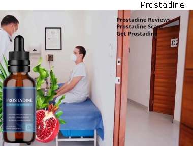 Prostadine Or Nugenix Prostate